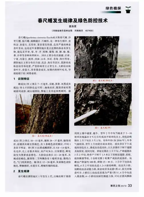 春尺蠖发生规律及绿色防控技术