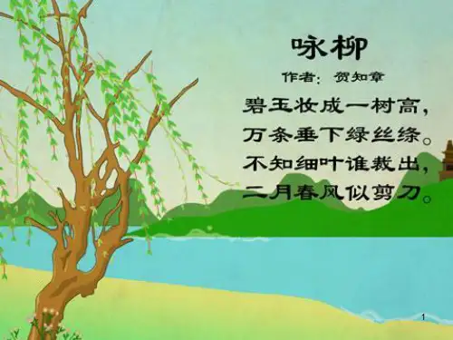 春天里的发现ppt课件
