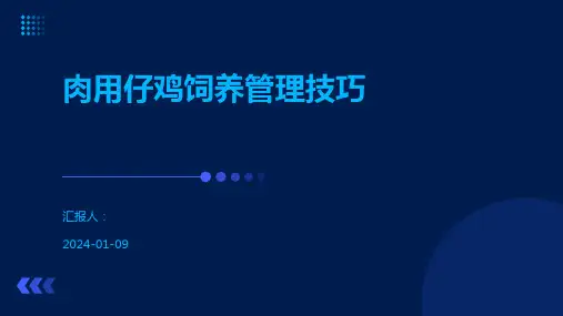 肉用仔鸡饲养管理技巧