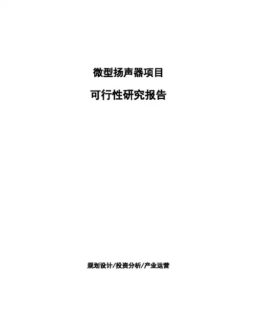 微型扬声器项目可行性研究报告