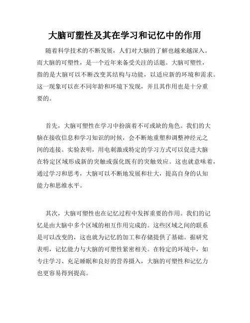 大脑可塑性及其在学习和记忆中的作用
