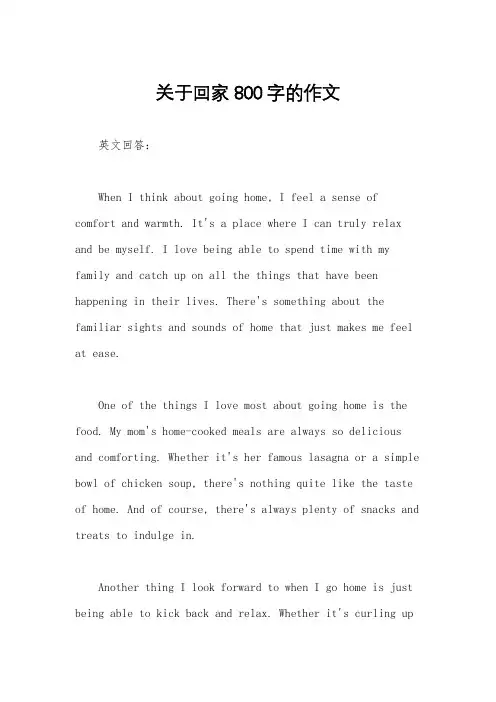 关于回家800字的作文