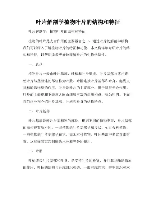 叶片解剖学植物叶片的结构和特征