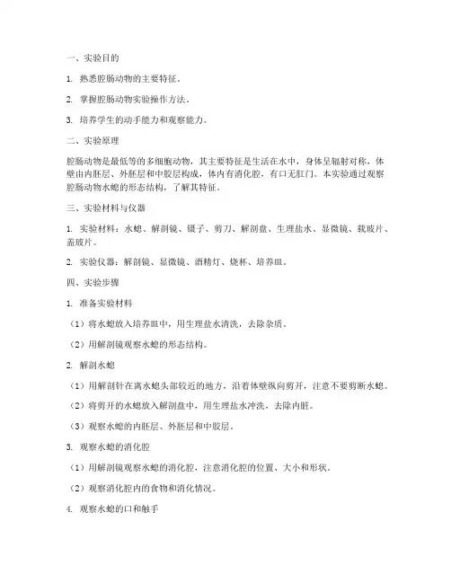 腔肠动物实验操作步骤