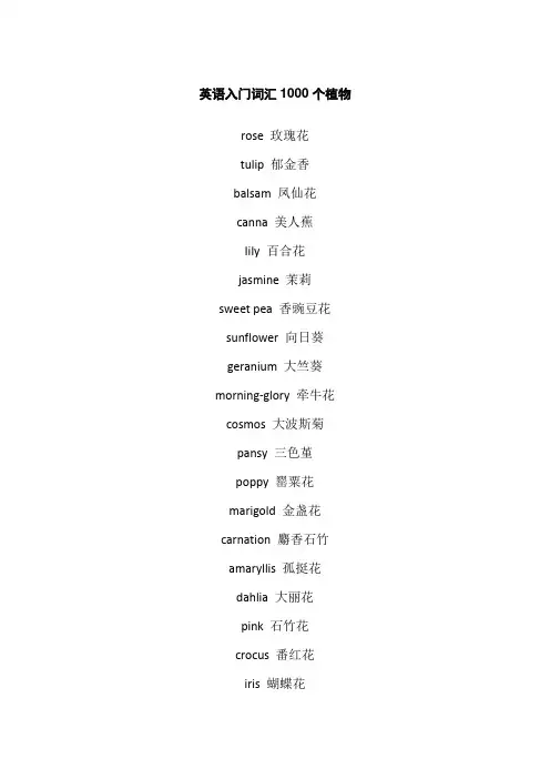 英语入门词汇1000个植物