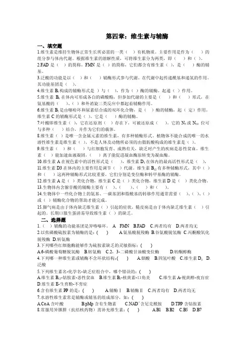 维生素——精选推荐