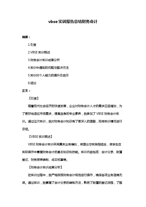 vbse实训报告总结财务会计