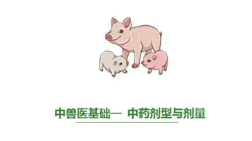 常用中药与方剂—中药基础(中兽医基础课件)