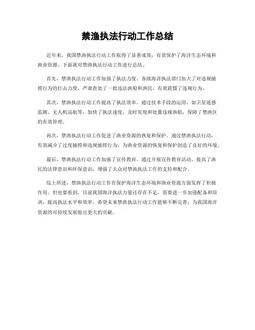 禁渔执法行动工作总结