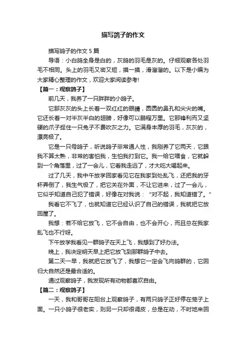 描写鸽子的作文