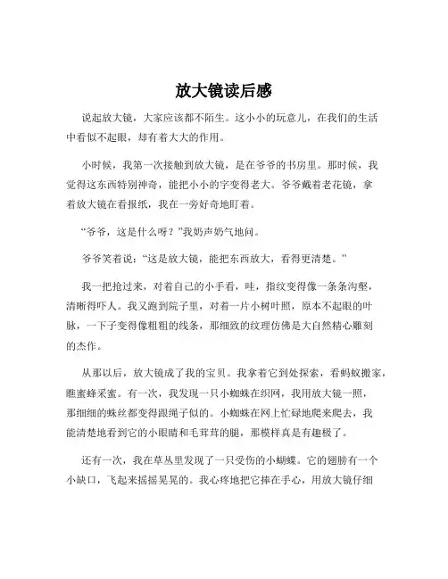 放大镜读后感