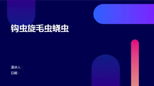 钩虫旋毛虫蛲虫