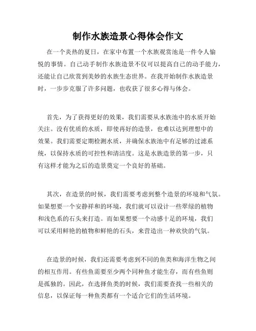 制作水族造景心得体会作文
