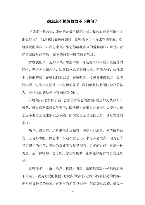 想忘忘不掉想放放不下的句子