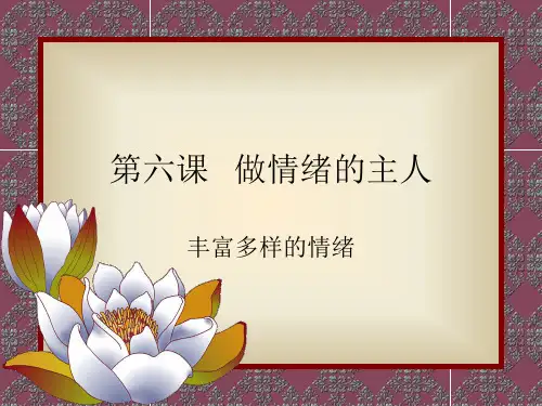 丰富多彩的情绪ppt