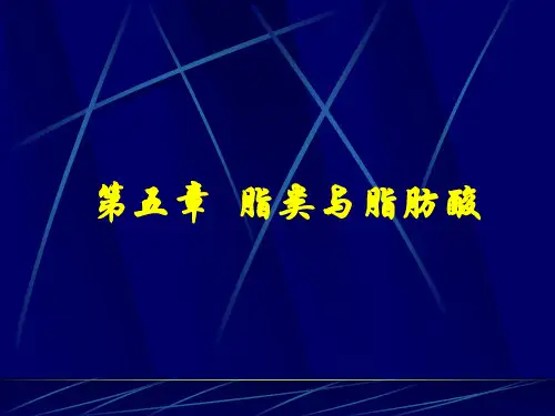 第五章 脂类与脂肪酸