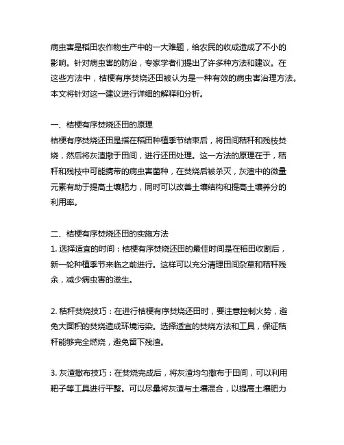 关于病虫害发病稻田桔梗有序焚烧还田的建议
