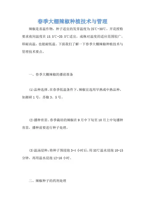 春季大棚辣椒种植技术与管理