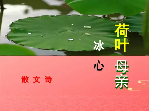 人教部编版七年级上册第课《散文诗二首——荷叶母亲》课件PPT