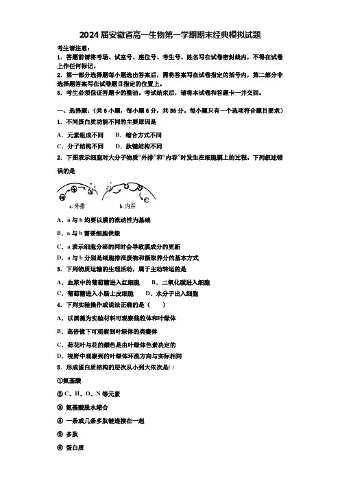 2024届安徽省高一生物第一学期期末经典模拟试题含解析