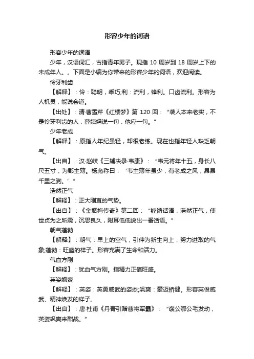 形容少年的词语
