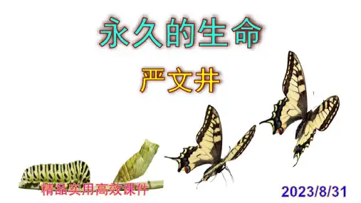 《永久的生命》ppt课件
