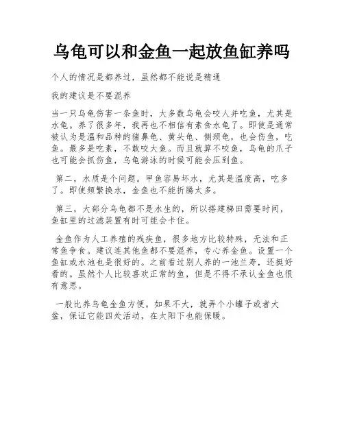 乌龟可以和金鱼一起放鱼缸养吗