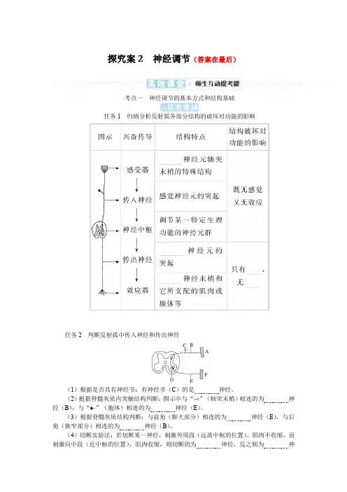 2025届高中生物高考复习学案：神经调节