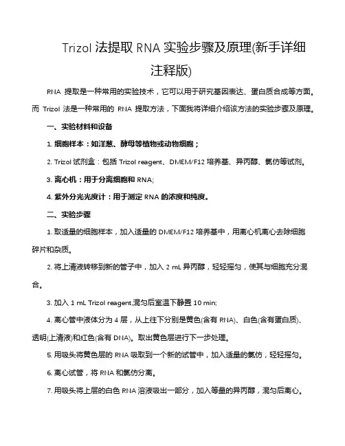 Trizol法提取RNA实验步骤及原理(新手详细注释版)