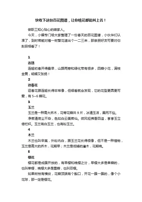 快收下这份百花图谱，让你啥花都能叫上名！