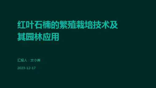 红叶石楠的繁殖栽培技术及其园林应用
