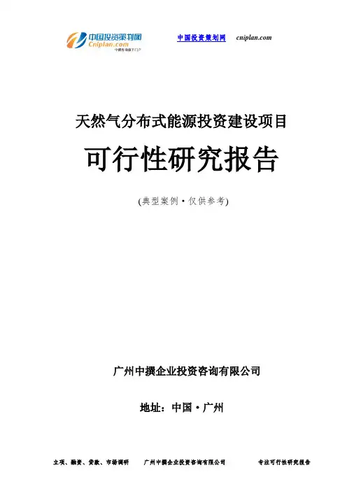 天然气分布式能源投资建设项目可行性研究报告-广州中撰咨询