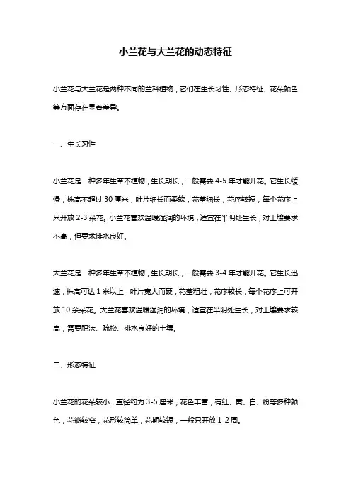 小兰花与大兰花的动态特征