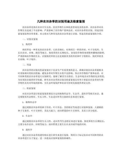 几种农田杂草的识别用途及检索鉴别