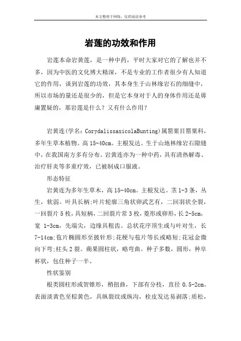 岩莲的功效和作用