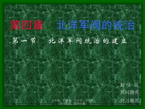 北洋军阀统治-PPT课件