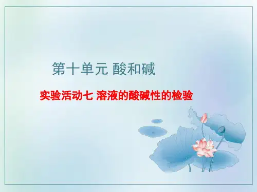 实验活动7溶液酸碱性的检验课件--九年级化学人教版下册