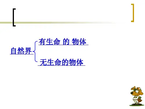 苏教版七年级生物上册总复习