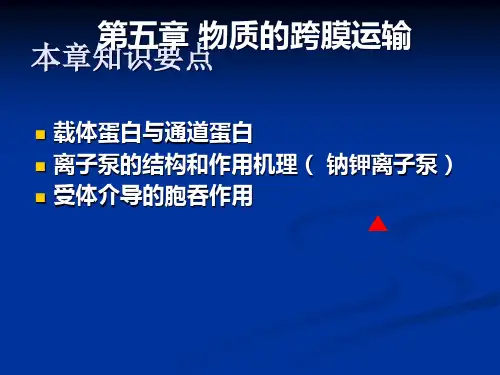 细胞生物学(翟中和)第5章 物质跨膜运输