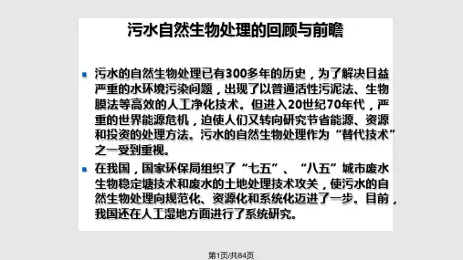 生物学污水的自然生物处理PPT课件