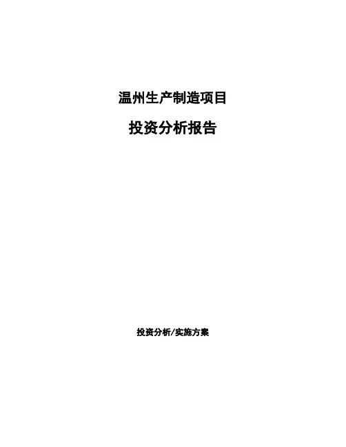 温州生产制造项目投资分析报告