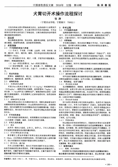 犬胃切开术操作流程探讨