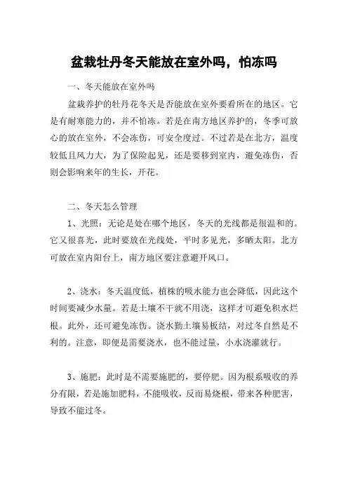 盆栽牡丹冬天能放在室外吗,怕冻吗