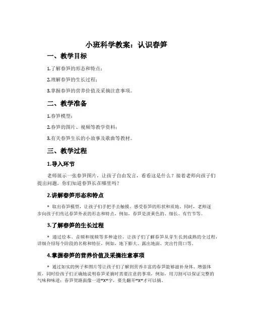 小班科学教案：认识春笋
