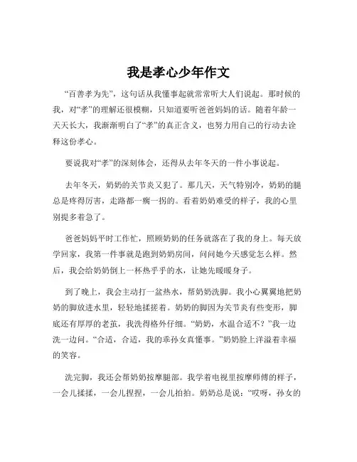我是孝心少年作文
