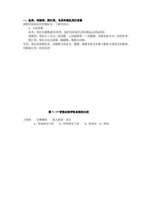 脊椎动物各系统演化