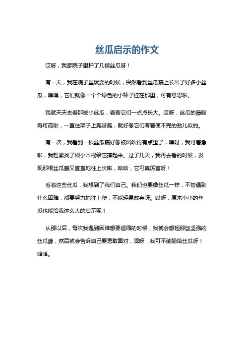 丝瓜启示的作文