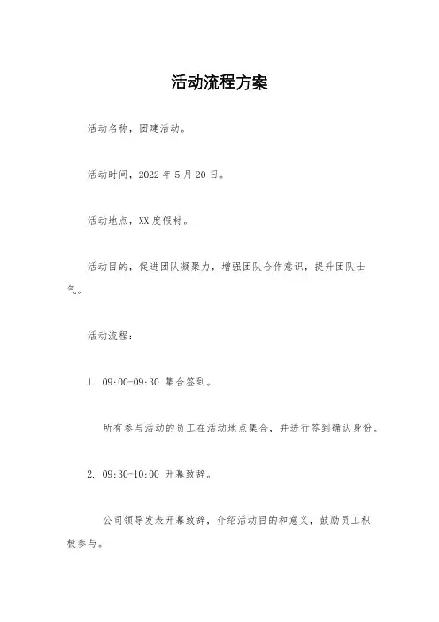 活动流程方案