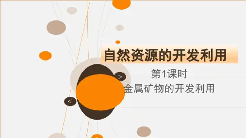 人教版《自然资源的开发利用》课件PPT