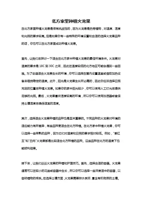 北方家里种植火龙果